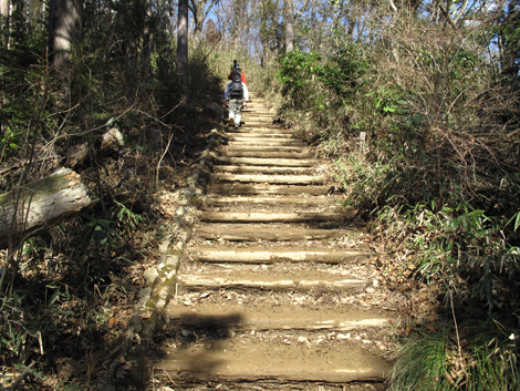 20160226hike (102)
